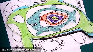 RBCM@Home (Kids): Orca Dining with the Shaw Centre for the Salish Sea!