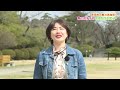 秋田市の魅力再発見!春のおすすめお出かけスポット