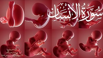 سورة الانسان - محمد كامل الخراط