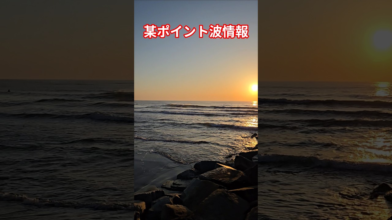 某ポイント 波情報 モモ〜腰腹