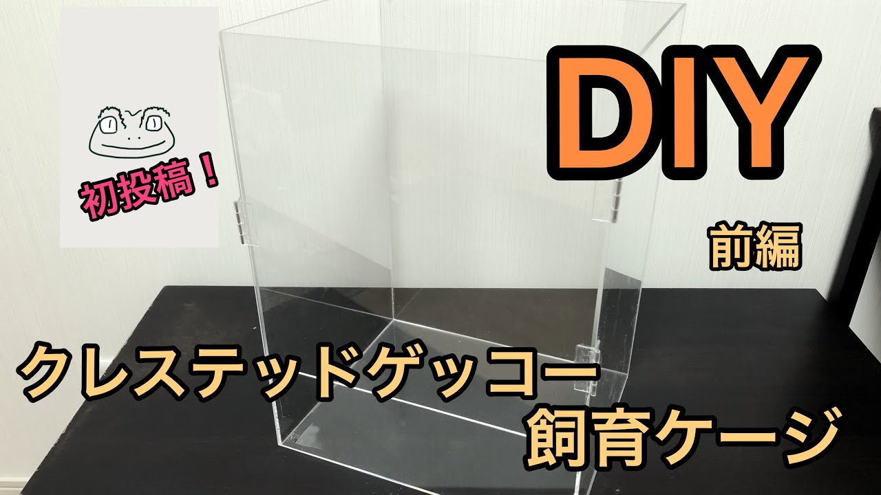 クレステッドゲッコーの飼育準備！ ケージを自作！【前編】 - YouTube