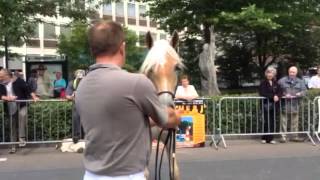 Download Lagu Awreja's eerste keuring MP3