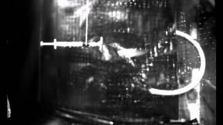 Hummingbird In The Rain