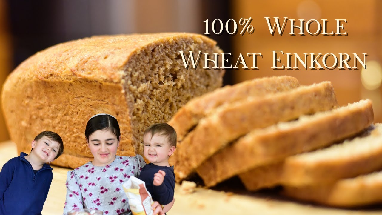 Easy 100% Whole Wheat Einkorn Bread
