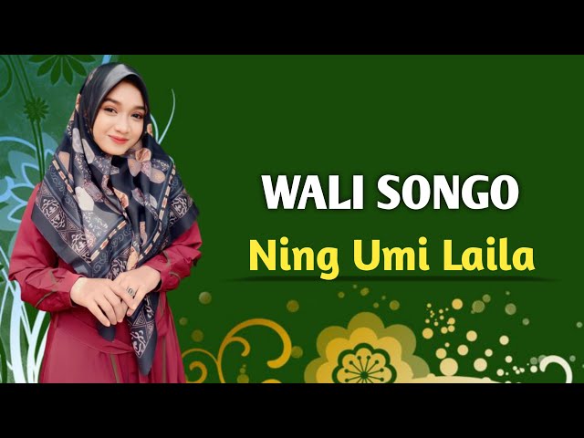 WALISONGO - NING UMI LAILA class=