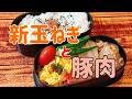【おかず3品】新玉ねぎと豚小間肉で旦那弁当