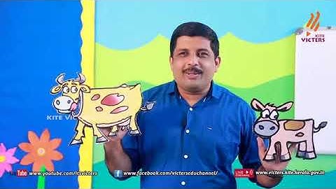 KITE VICTERS STD 1 Mathematics Class 1 First Bell ഫസ്റ്റ് ബെല്