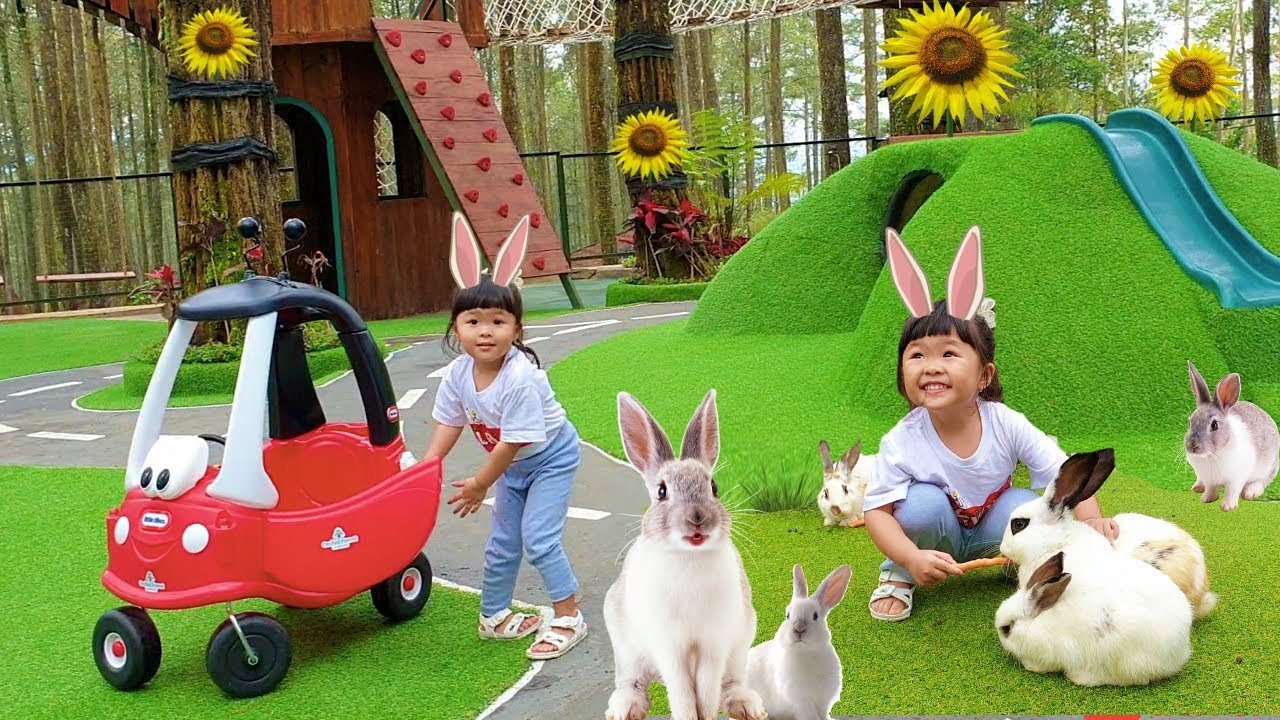 Кормление и кормление кроликов Животные Праздник Дети Веселая езда Автомобиль Циколь Орхидея Лес