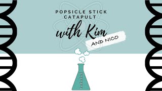 Science Experiments for Kids: Popsicle Stick Catapult