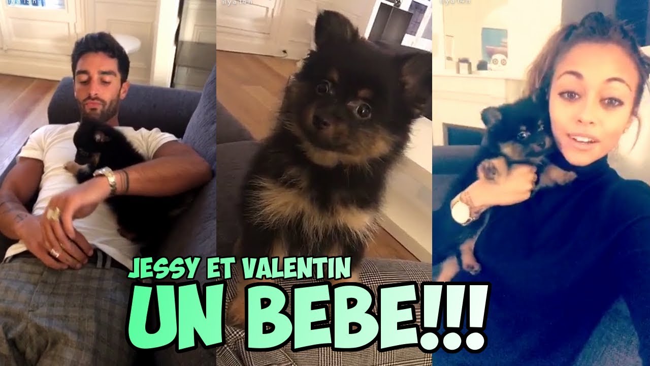 JESSY ERRERO ET VALENTIN LEONARD ONT UN NOUVEAU BEBE   UN PETIT CHIEN