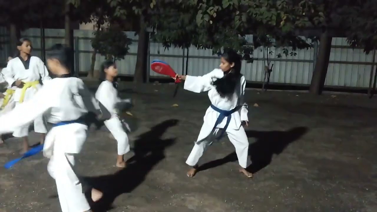 matoshree taekwondo sports academy hinganghat....