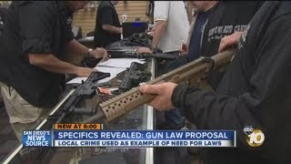 Police chief discusses gun law proposals