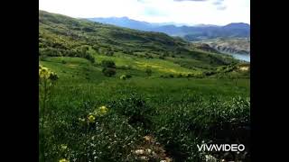 DERSİM DEP'E AMED