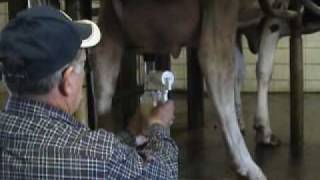 Udderly Ez Cow Milker .Flv