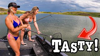 Fishing DEEP CUTS Before A Storm For a TASTY MEAL!!! (NON-STOP!!)