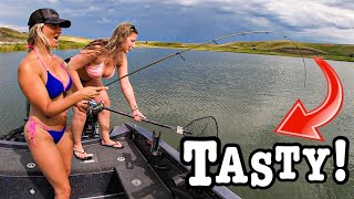 Fishing Deep Cuts Before A Storm For A Tasty Meal!!! (Non-Stop!!)