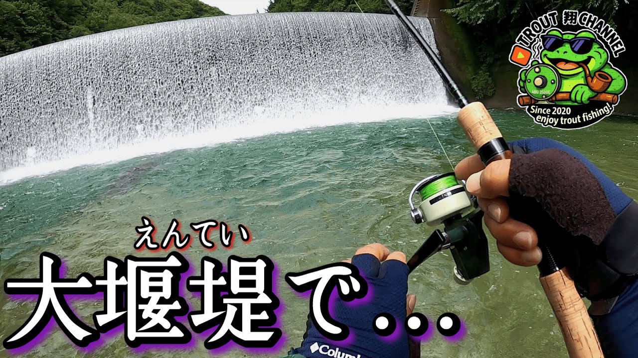 【渓流釣り】大堰堤で…！！ #trout fishing #渓流ルアー