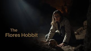 THE FLORES HOBBIT #archaeology #YouTubedocumentary #discovery #storytellingchannel