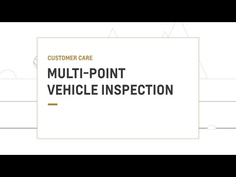 V L Auto Inspection Cars Trucks And Buses