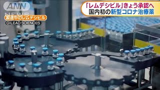 「レムデシビル」承認へ　国内初の新型コロナ治療薬(20/05/07)