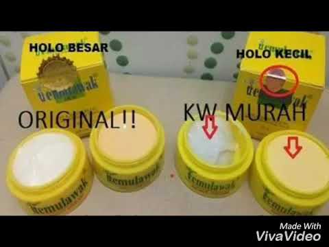 Paling Populer 15 Gambar Temulawak Asli Sugriwa Gambar