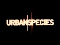 Capture de la vidéo Urban Species Spiritual Love