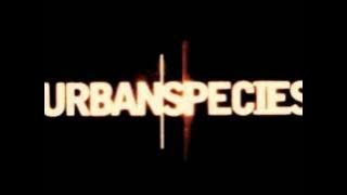urban species Spiritual Love