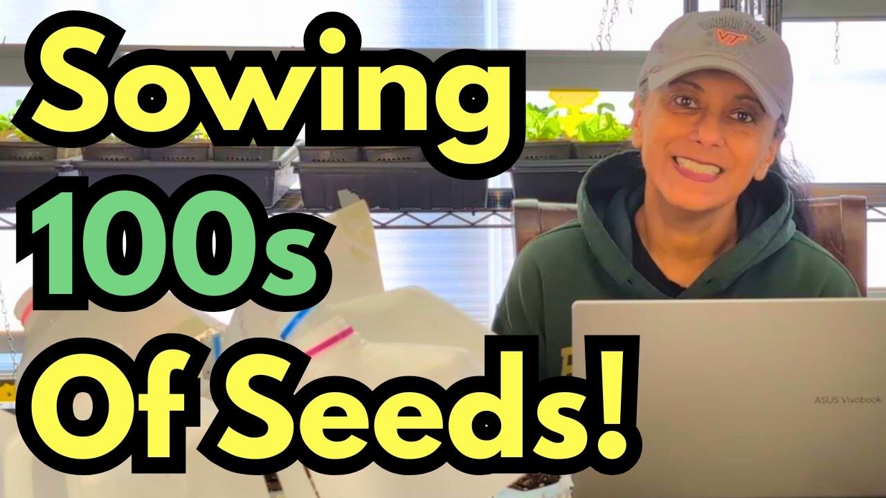 Самое сложное испытание для зимнего посева: посеять СОТНИ семян! ❄️