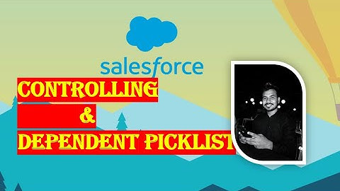 07 Controlling  Depending Picklist | Salesforce Tutorial