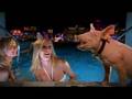 Binions and Whiskey Licker Up Saloon - Las Vegas - YouTube