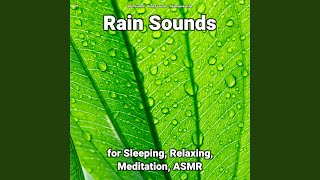 Rain Sounds for Studying