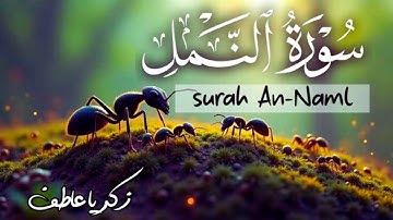 "سورة النمل كما لم تسمعها من قبل | تلاوة تُلامس القلب"