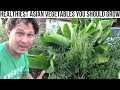 Healthiest & Easiest Asian Vegetables You Should Grow at Home Tour