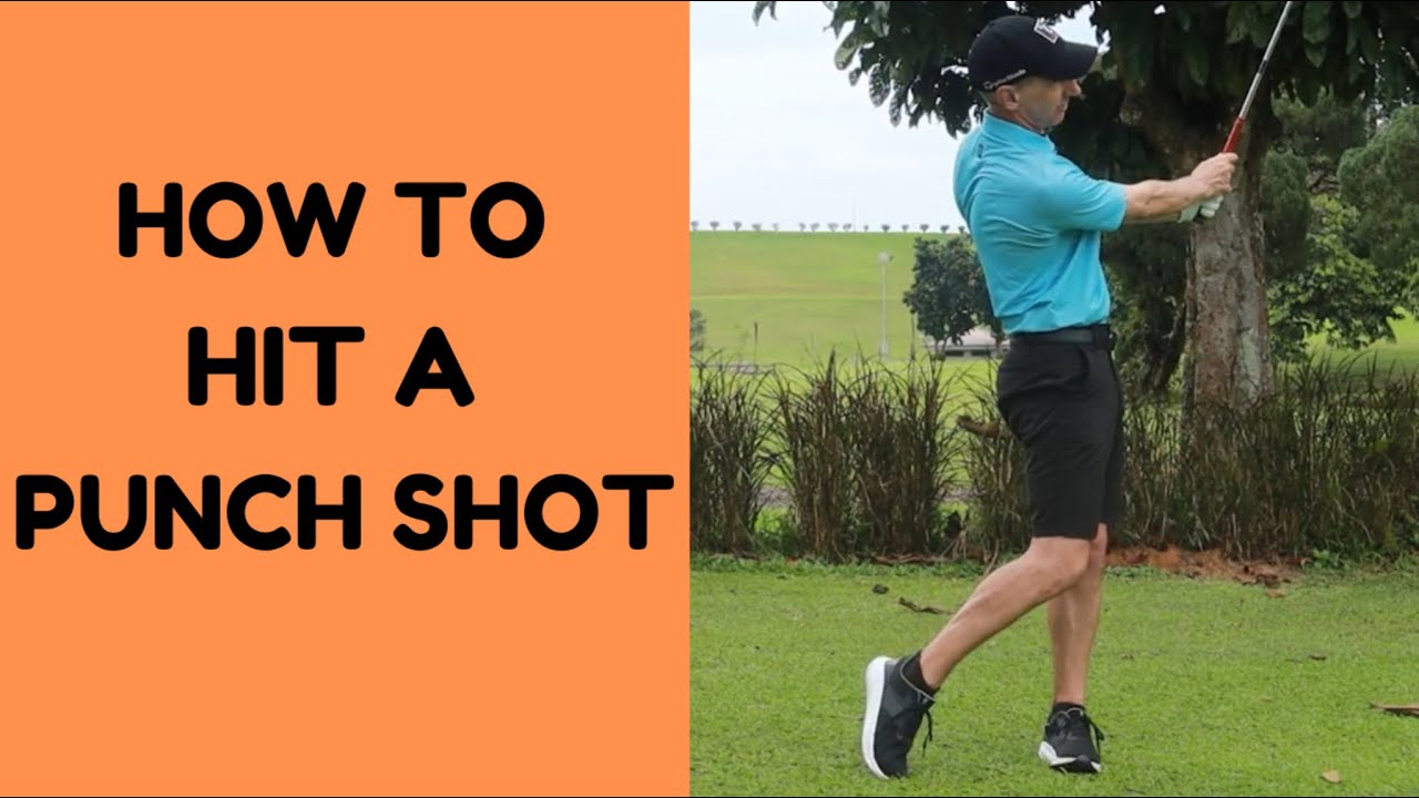Punch Shot