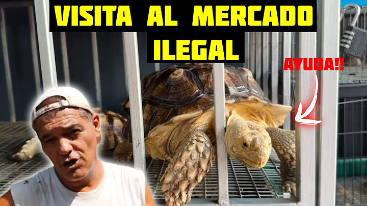 MERCADO ILEGAL EN TAILANDIA CON THEGREFG Y FRANK!!