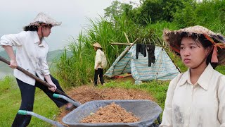 Download Lagu A Homeless Girl’s Courage to Overcome Hardship and Survive Alone | Ly Tu Mai MP3 Download Lagu A Homeless Girl’s Courage to Overcome Hardship and Survive Alone | Ly Tu Mai MP3