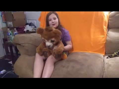 Cubby Bear