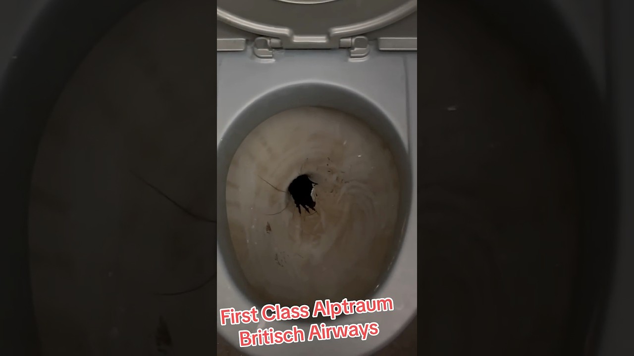 ✅ British Airways First & Business Class (Hygiene Alptraum) Lifetime HON 