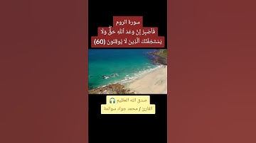 سورة الروم - آية 60: القارئ/محمد جواد سوالمة