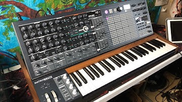 Arturia MatrixBrute - Playing My Favourite Patches - 1 to 64 - Live Demo - Amazing Synth