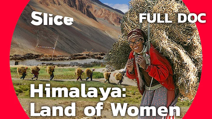 Himalaya, Land of Women | SLICE | Full Documentary - DayDayNews