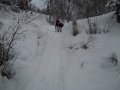 Iditarod Trail Invitational: Chris Plesko