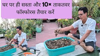 घर पर ही PROM बनाएं | phosphorus | Manure | flowering plants | Rooftop organics 