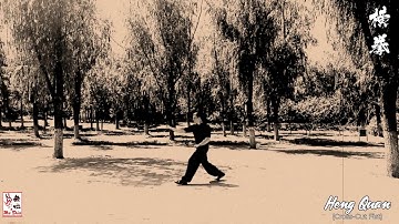 Xingyi Quan - Wu Xing Quan (Five Element Fists) - Trailer