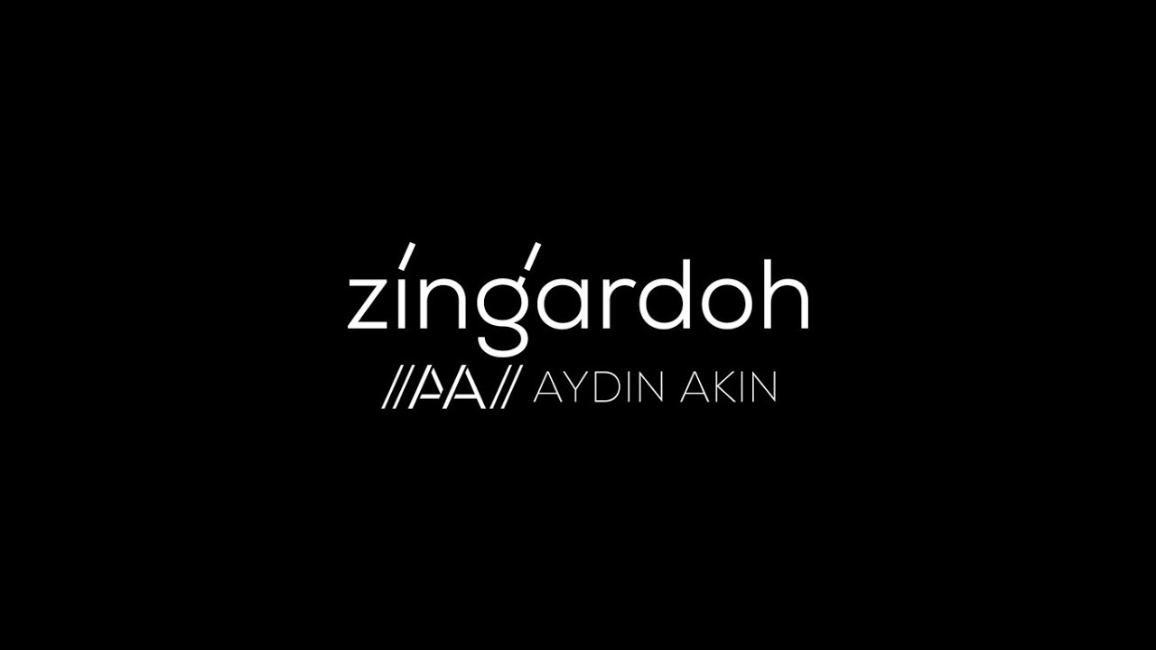 Aydın Akın & Ziya Özsökmenler / Duo