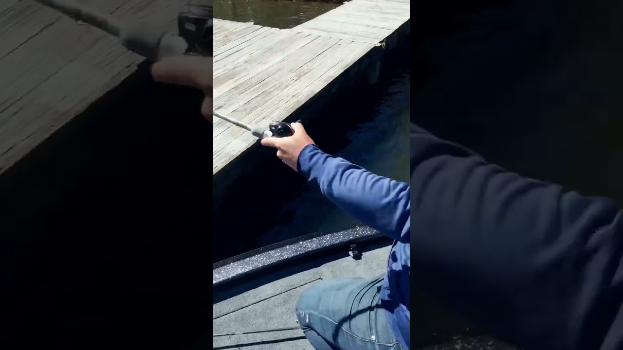 Clutch Darter – Justin Kimmel GIANT #bassfishing #swimbait #fishing #glidebait