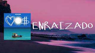 2. ENRAIZADO ft. TRASHBOYSNXXP, DOLLINHO (PROD. YANK)