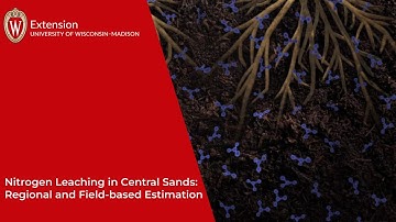 Nitrogen Leaching in Central Sands: Regional & Field-based Estimation