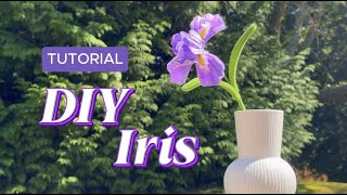 Ep.045：TUTORIAL: DIY Iris Flower with Pipe Cleaners | Step-by-Step Craft Tutorial｜Home Decor Ideas