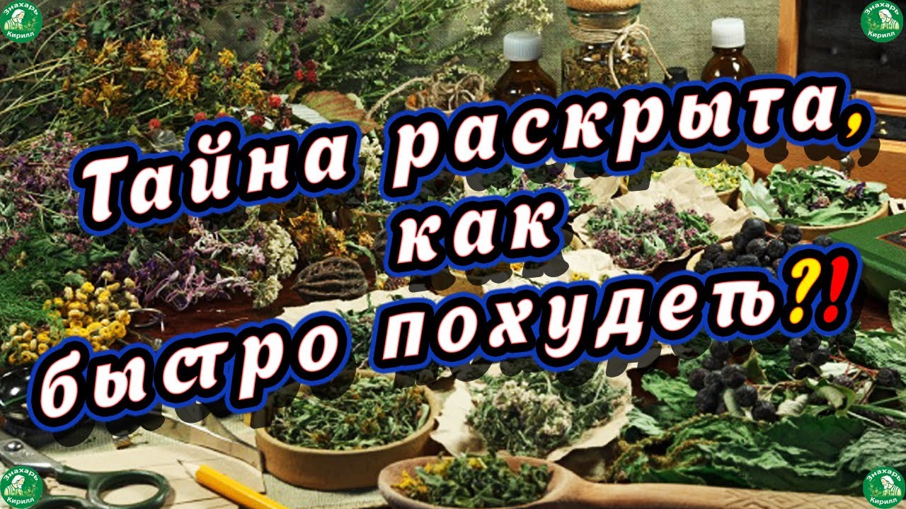 3 Необычных Эффективных Сбора для Похудения 🌿☘️ Сбор Трав для Похудения 2024! 🍃 Знахарь-Кирилл 🧙